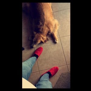 Meet your Posher, Logan